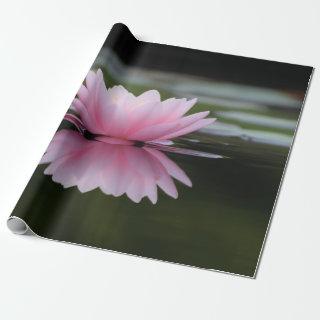 Lotus Flower , Zen