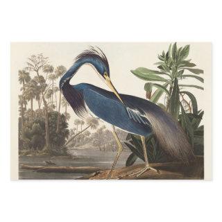 Louisiana Blue Heron by John Jay Audubon   Sheets