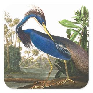 Louisiana Heron by John James Audubon Square Sticker