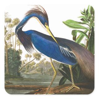 Louisiana Heron by John James Audubon Square Sticker