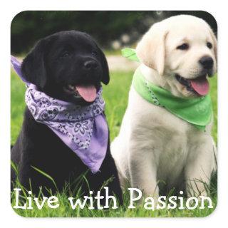 Love Black & Yellow Labrador Retriever Puppy Dogs Square Sticker