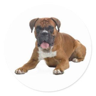 Love Boxer Puppy Dog Greeting Sticker