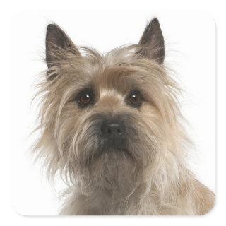 Love Cairn Terrier Puppy Dog Greeting Stickers