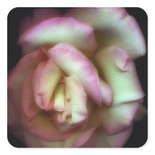 <Love is a Rose> by Nathan Griffith Square Sticker