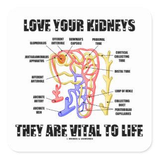 Love Your Kidneys They Are Vital To Life (Nephron) Square Sticker