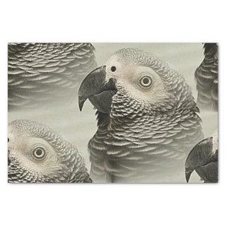 Lovely Congo African Grey Parrot Tissue Paper