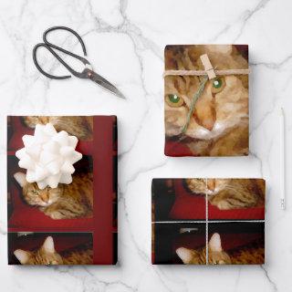 Lucy Kitty  Sheet Set