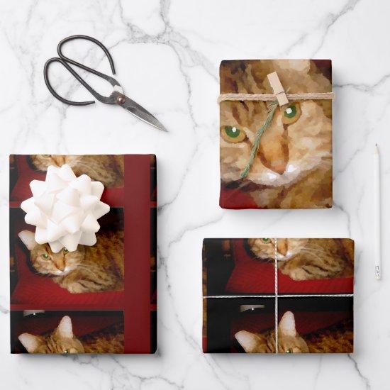 Lucy Kitty  Sheet Set