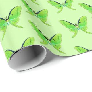 Luna moth on a pale green background