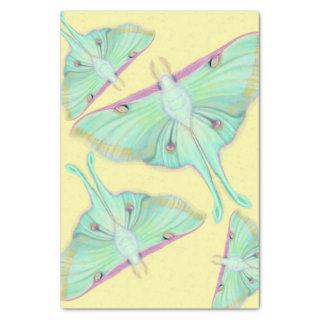 Luna Moth on yellow Tissue Paper