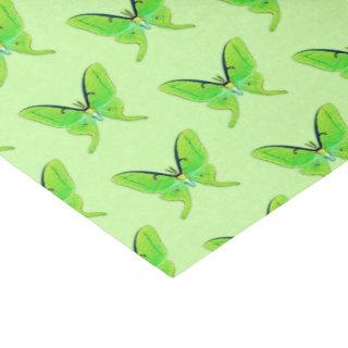 Luna moths - lime green on a pale green background tissue paper