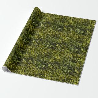 Lush Green Mossy Carpet