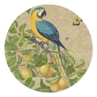 Macaw Blue Yellow Tropical Jungle Antique Classic Round Sticker
