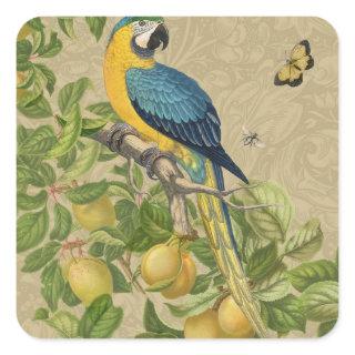 Macaw Blue Yellow Tropical Jungle Antique Square Sticker