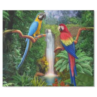 Macaw Tropical Parrots