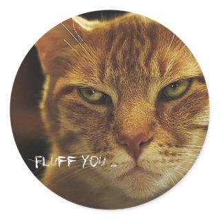 Mad Cat Fluff You Classic Round Sticker