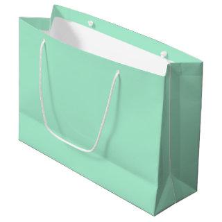 Magic Mint Solid Color Large Gift Bag