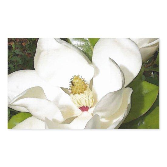 Magnolia Blossom Rectangular Sticker
