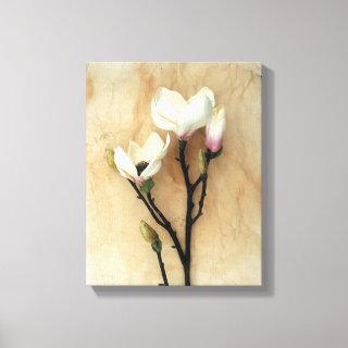 Magnolia floral art print wall print