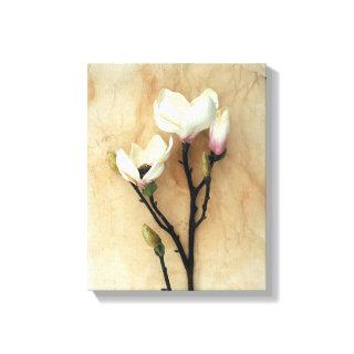 Magnolia floral art print wall print