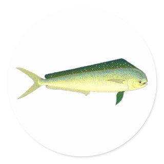 Mahi Mahi - Dolphin Fish Art Classic Round Sticker