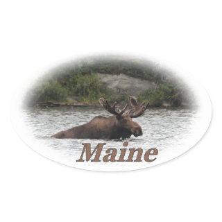 Maine Bull Moose Oval Sticker