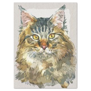 Maine Coon Cat Breed Watercolor Sketch Tissue Paper
