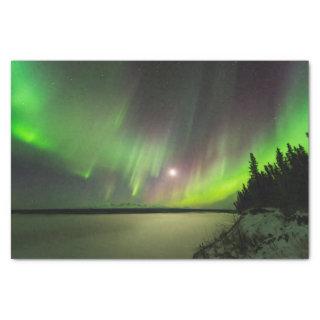 Majestic Aurora Tissue Paper