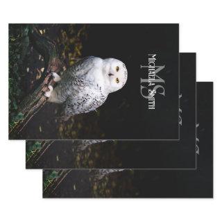 Majestic winter snowy owl monogram custom name  sheets