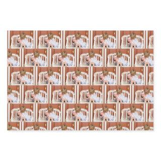 Make Your Own Custom Photo Pattern  Sheets