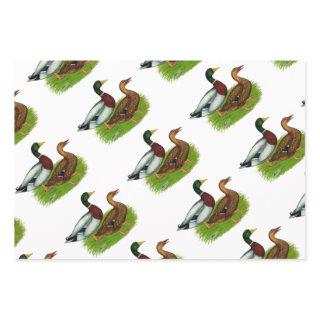 Mallard Drake and Duck  Sheets