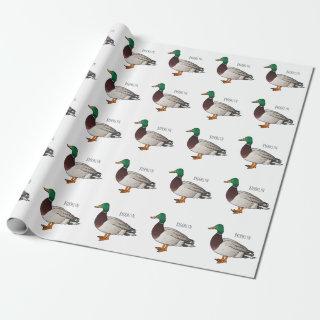 Mallard duck cartoon illustration