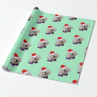 Maltese with Santa Hat