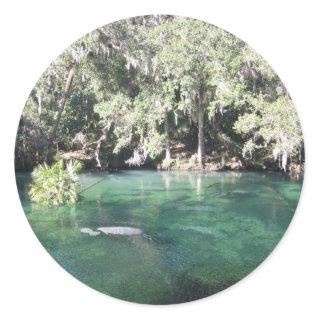 Manatees at Blue Springs Sticker