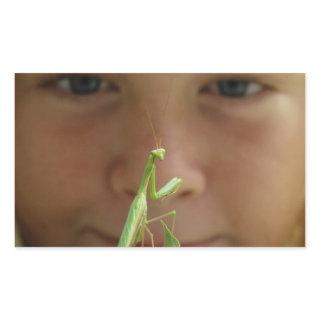 Mantis religiosa rectangular sticker