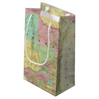 Map of the State of Michigan Small Gift Bag