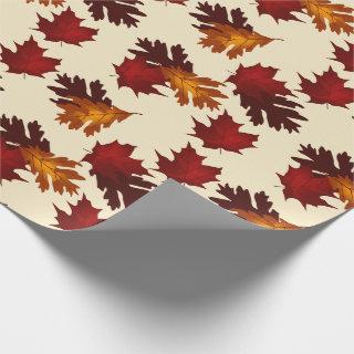 Maple and Oak Foliage Leaves Autumn Colors
