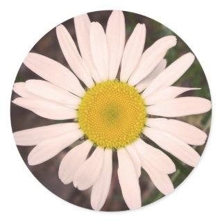 Marguerite Classic Round Sticker