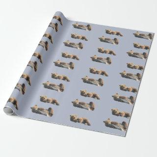 Matte , 30" x 6' with bear cubs