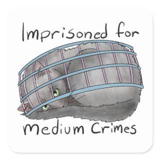 Medium Crimes Square Sticker