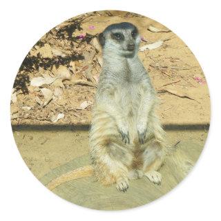 Meerkat #1 Stickers