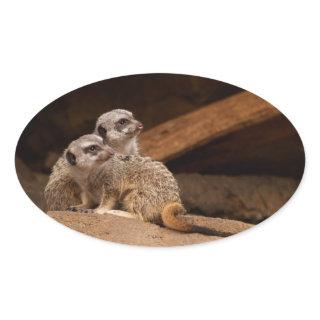 Meerkat Oval Sticker