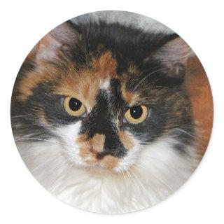 MeMeow Classic Round Sticker