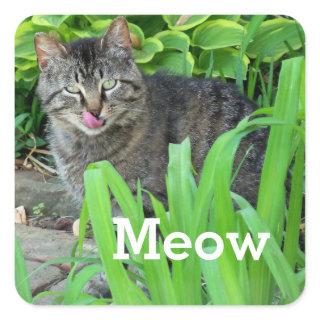 Meow Gray Tabby Cat in Garden Sticker
