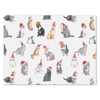Merry Christmas Cats with Santa Hats Tissue Paper
