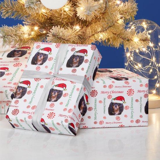 Merry Christmas CKCS Santa