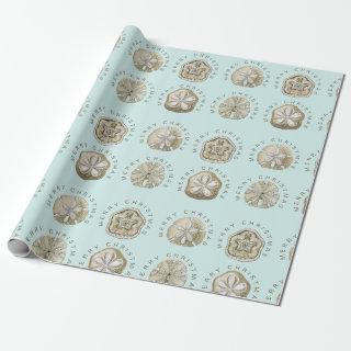 Merry Christmas Sand Dollar Turquoise Pattern