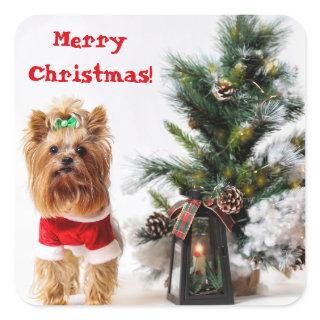 Merry Christmas Santa Yorkie with Christmas Tree Square Sticker