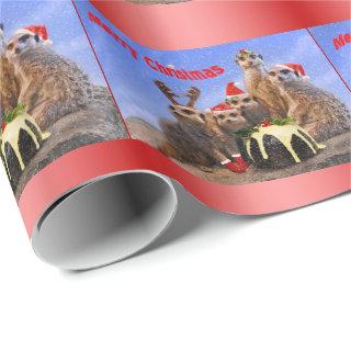 Merry Meerkats  - Christmas