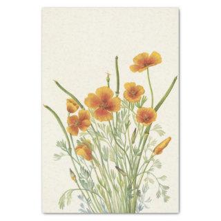 Mexican Poppy by Mary Vaux Walcott Tissue Paper